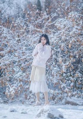 国产凌凌漆海报_免费完整版高清